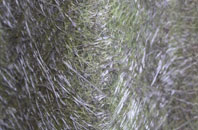 Betchworth fibreglass roof work